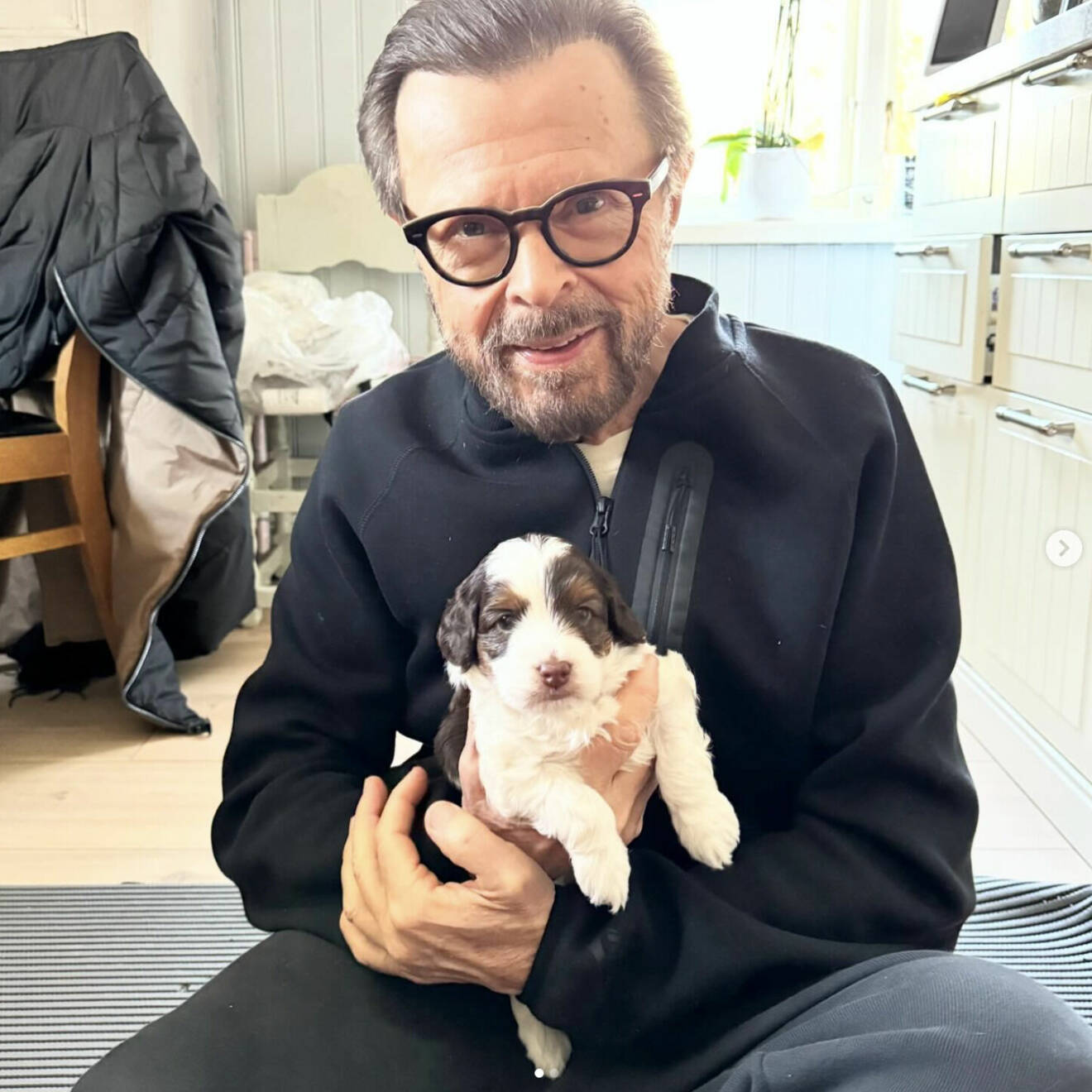 Björn Ulvaeus med hunden Hansi