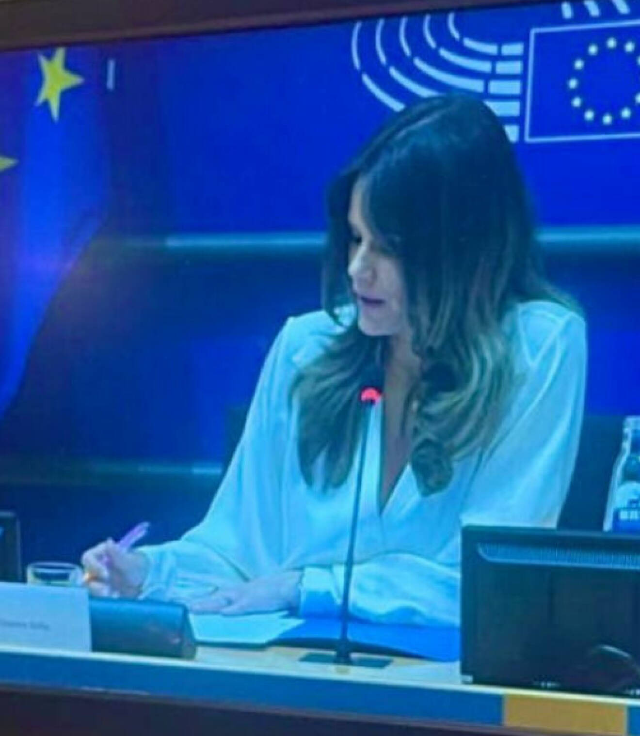 Prinsessan Sofia i EU-parlamentet med Prinsparets stiftelse