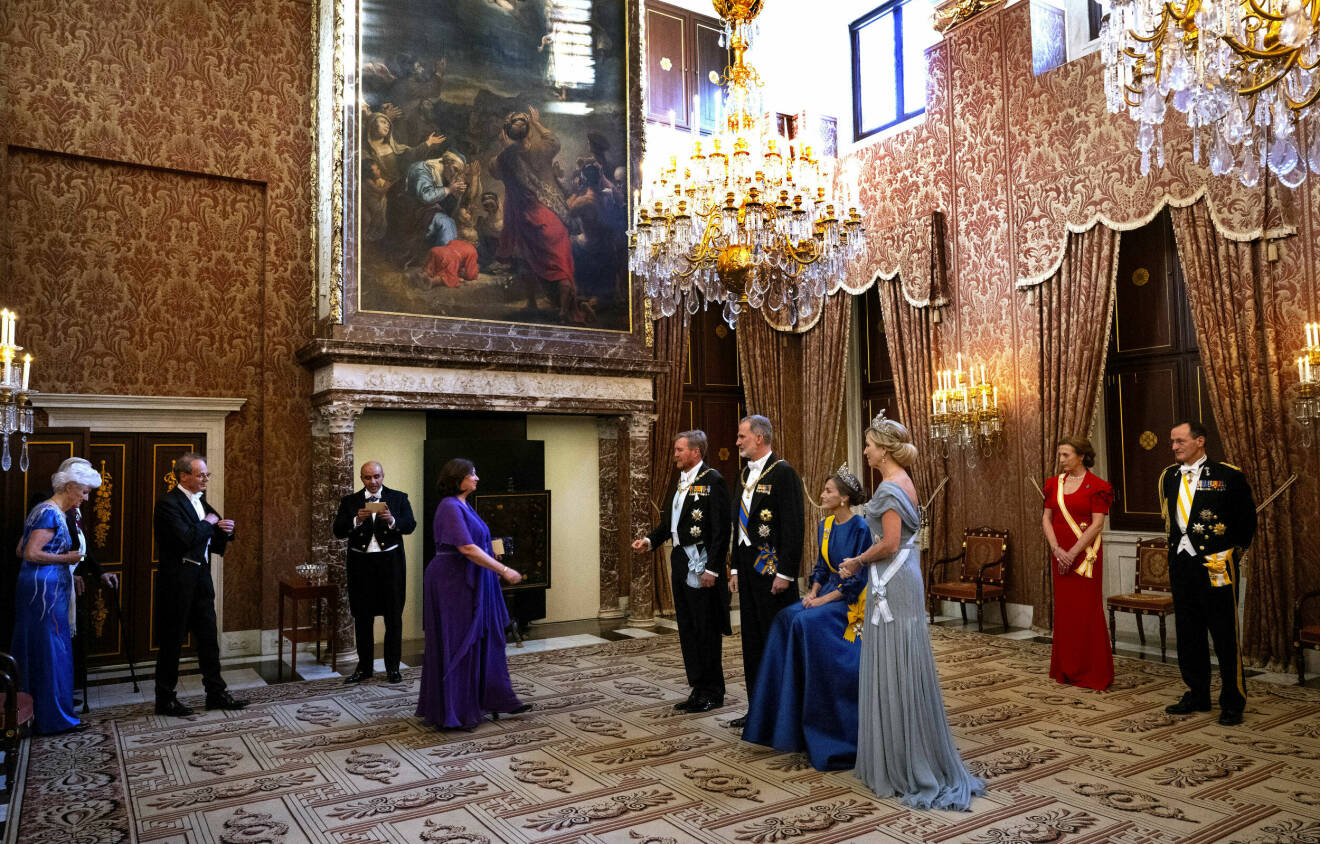 Drottning Letizia hälsade sittande under statsbesöket i Nederländerna
