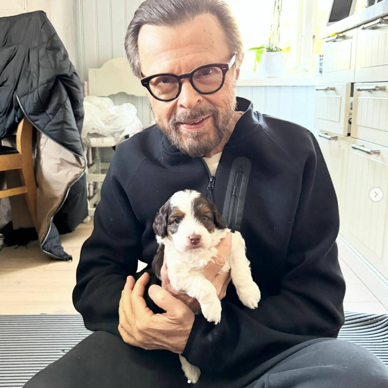 Björn Ulvaeus med hundvalpen Hansi