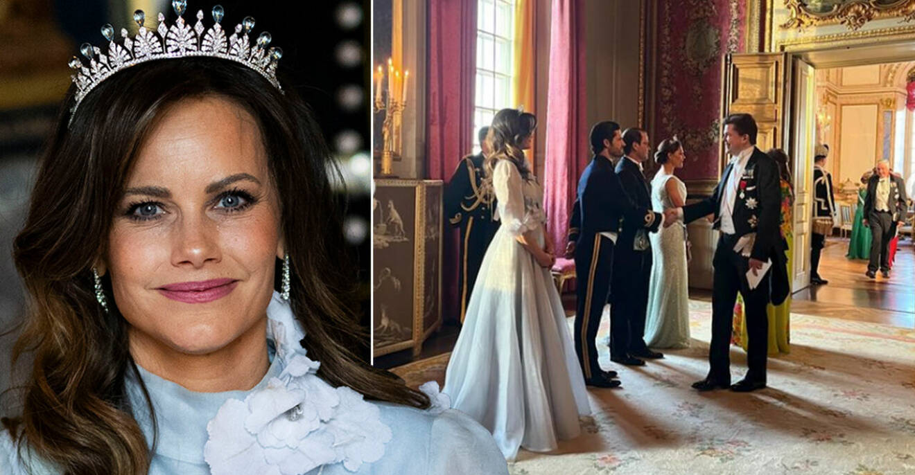Prinsessan Sofias bilder från danska statsbesöket