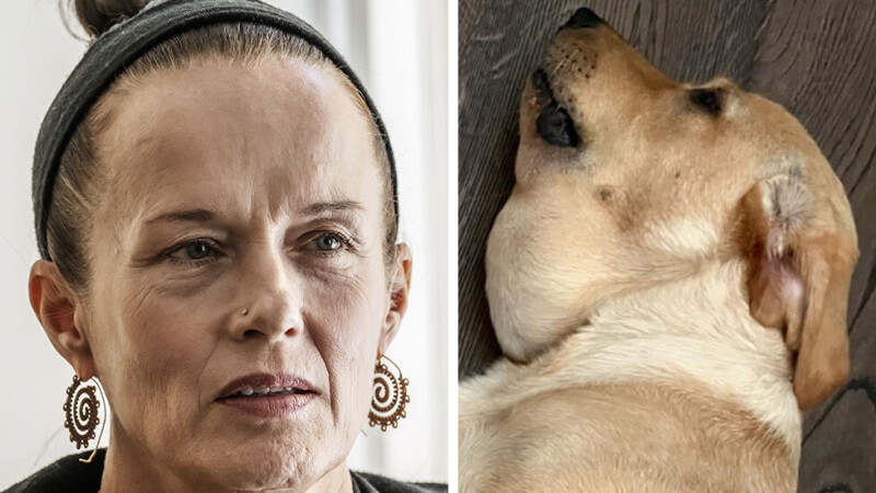 Malin Berghagens bild på sin hund får alla att reagera | Svensk Damtidning