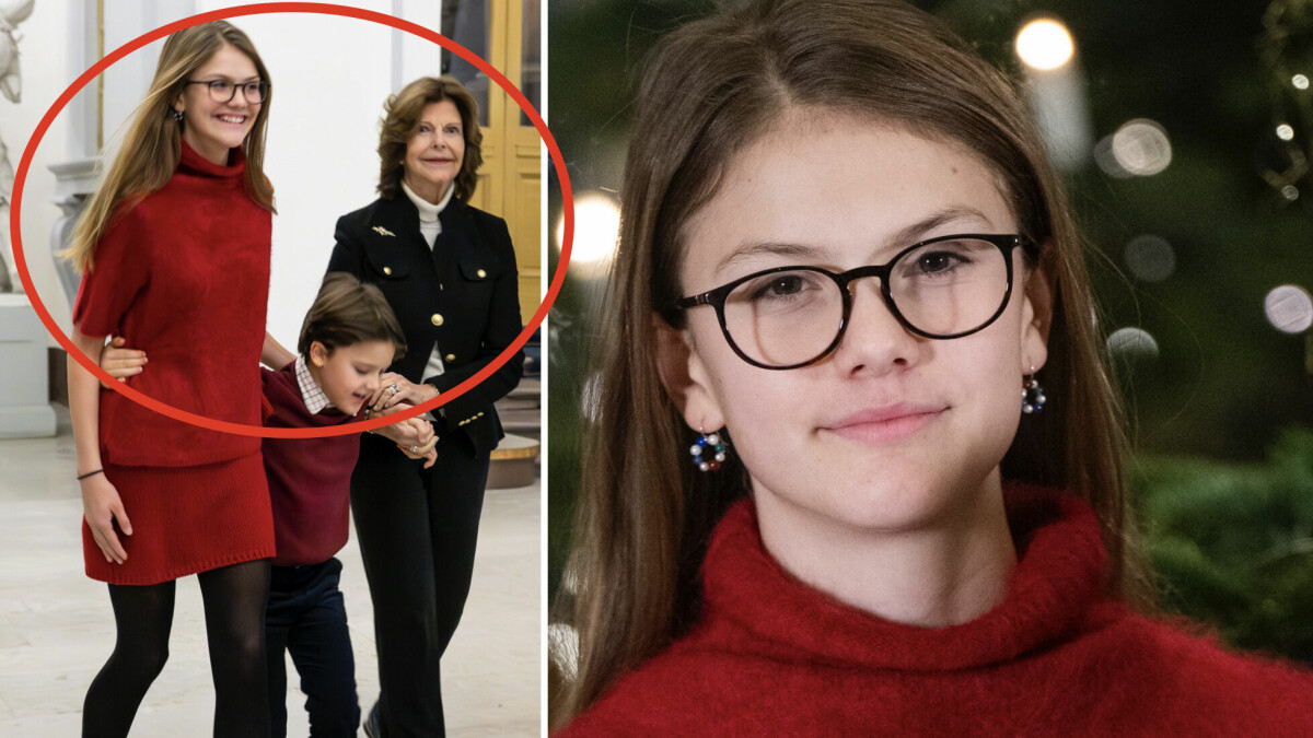 BDSM mexanikasi video