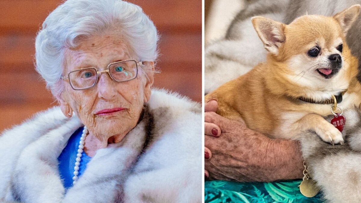 Prinsessan får inte begravas med sin hund – därför stoppas hon | Svensk  Damtidning