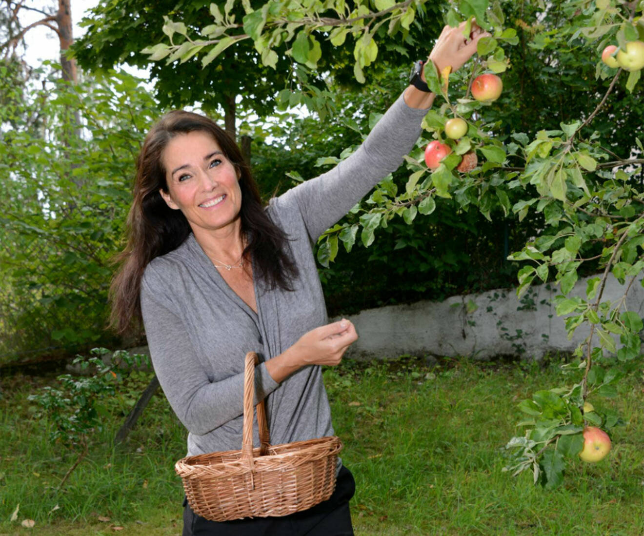 Agneta Sjödin plockar äpplen i sin trädgård. 