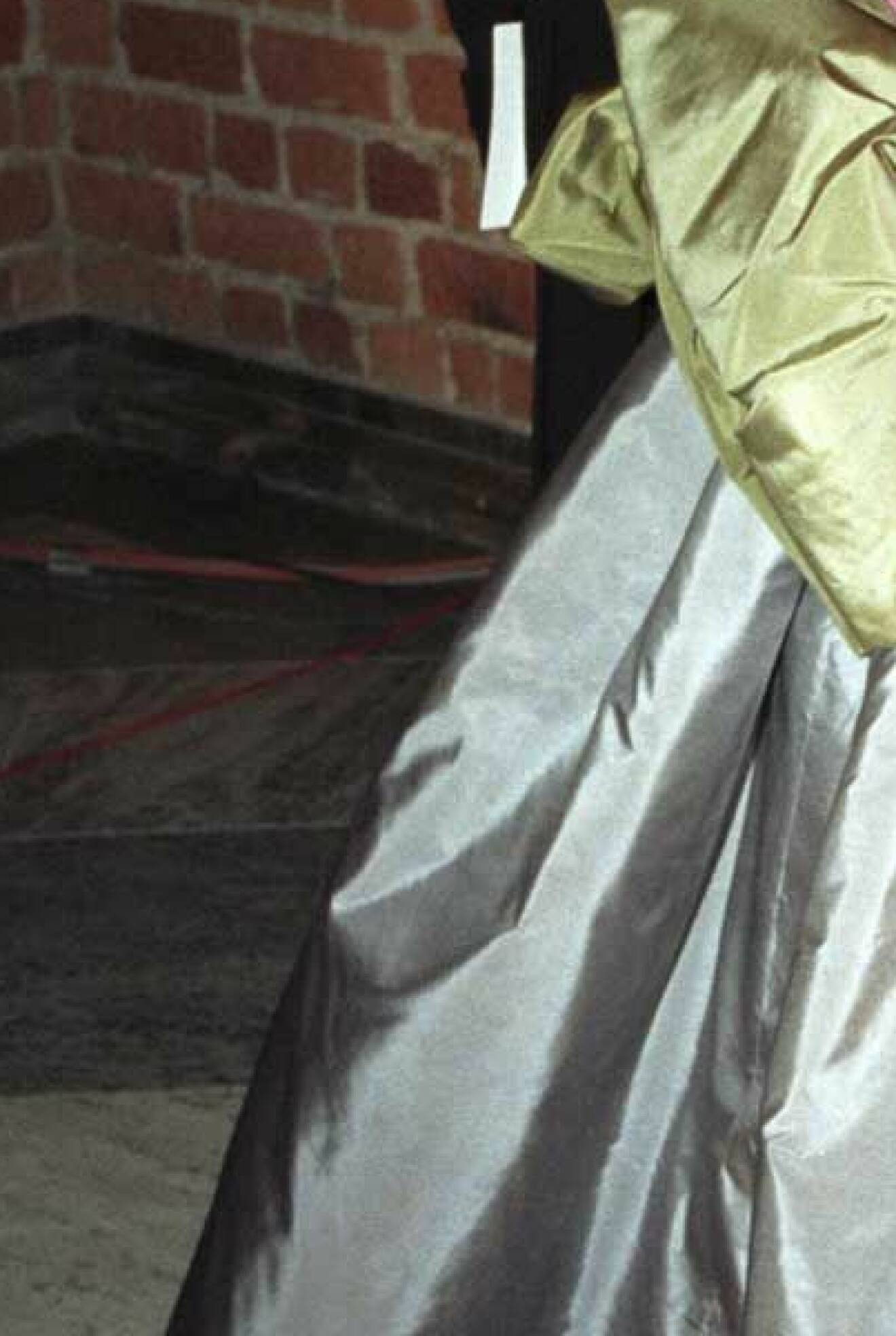 Klänningen bakifrån på drottning Silvia år 1995. 