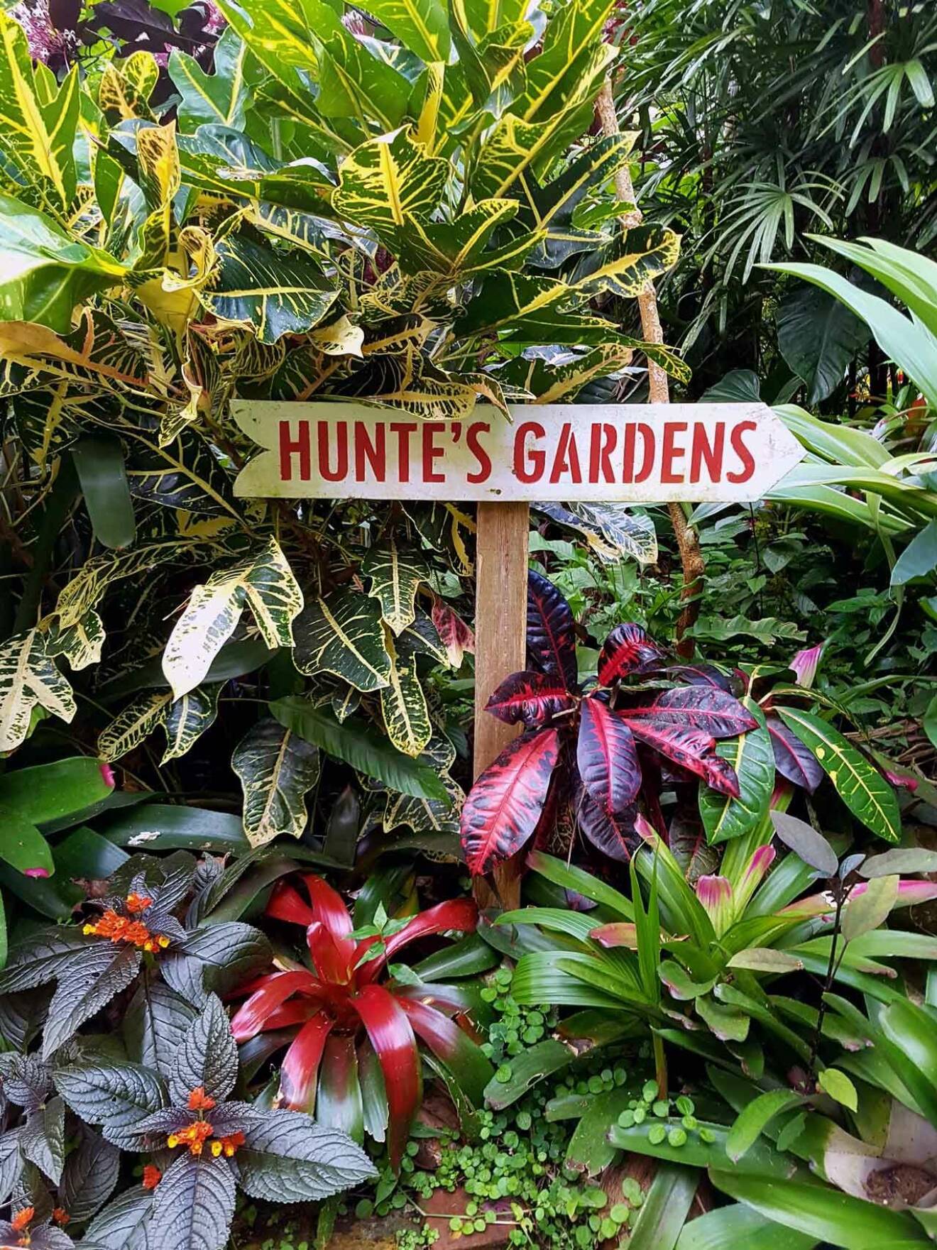Den fantastiska naturen och alla blomsterträdgårdar är något Alexandra tycker mycket om. Här Huntes Gardens.