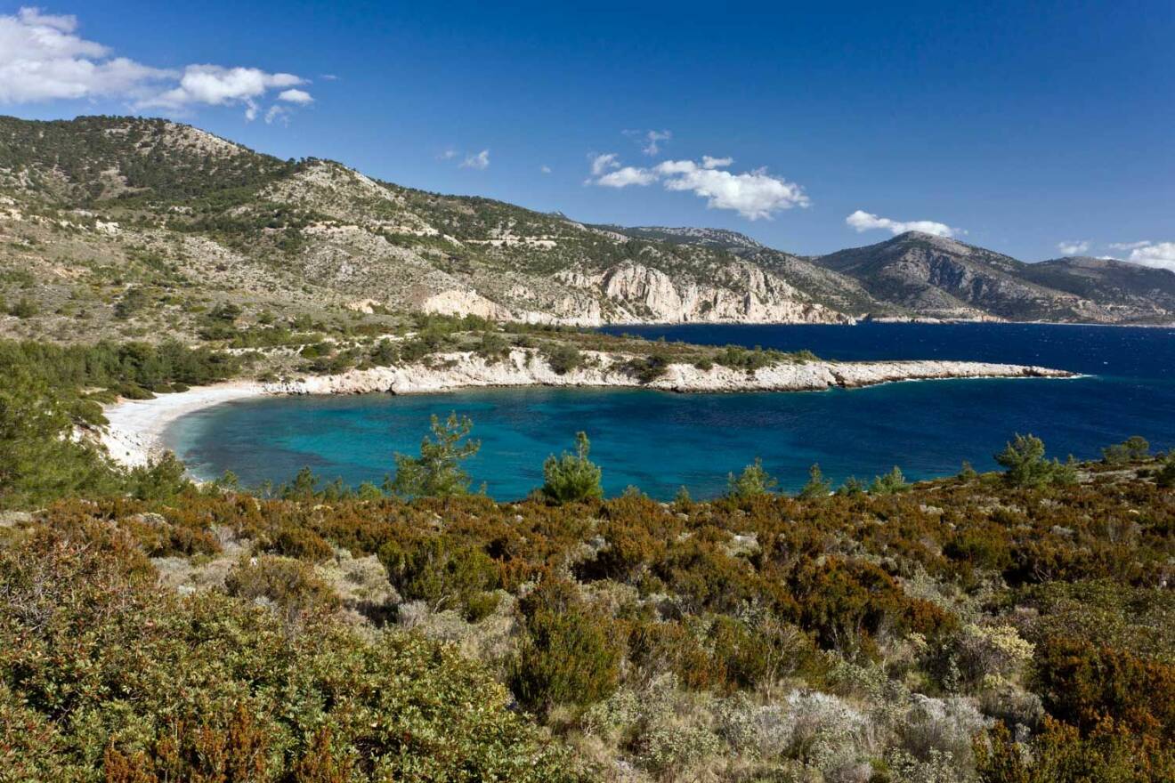 Grekiska ön Chios, nära det turkiska fastlandet, brukar Janne och familjen semestra på. 