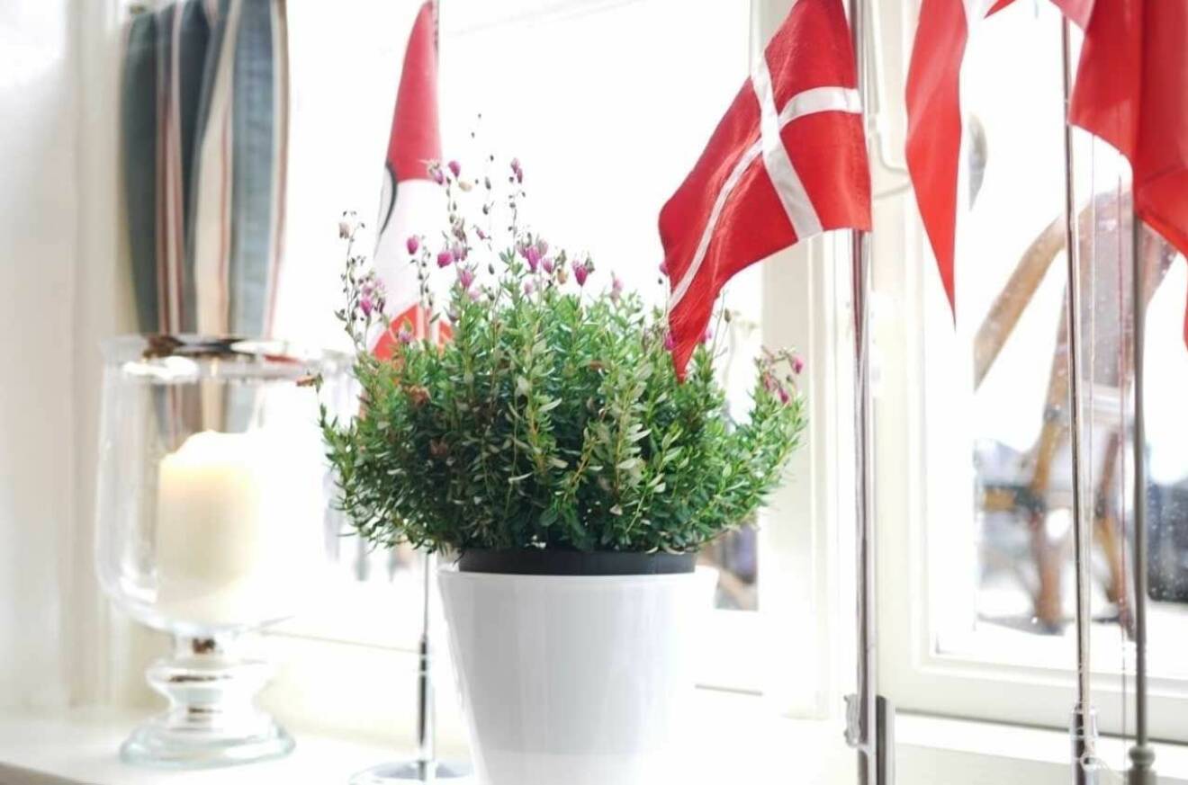 Danska flaggan. Så fin.