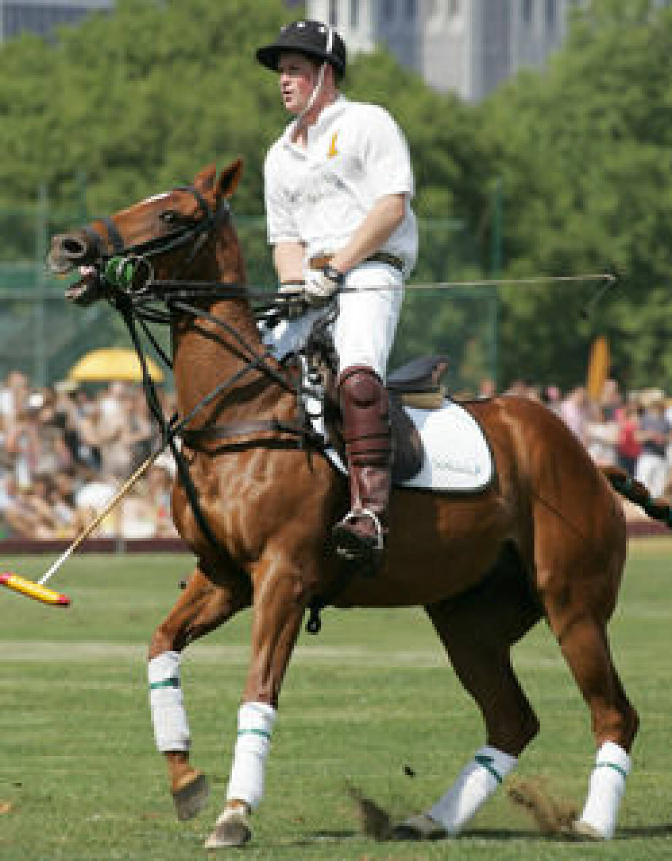 Prins Harry på polomatchen i maj i år.