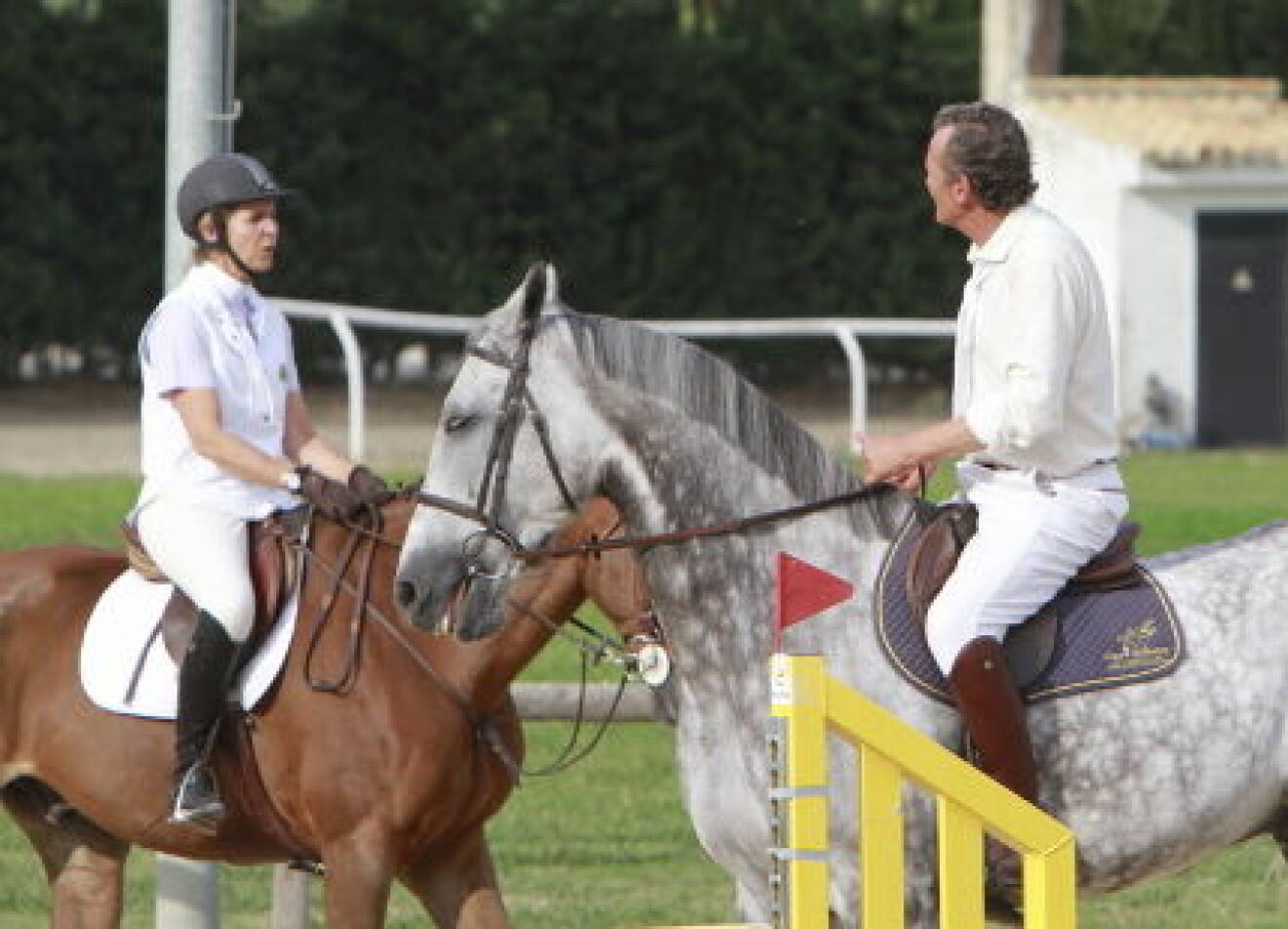 Princess Elena of Spain and Luis Astolfi took part in the II Ruta Via de la Plata horse riding competition in Seville