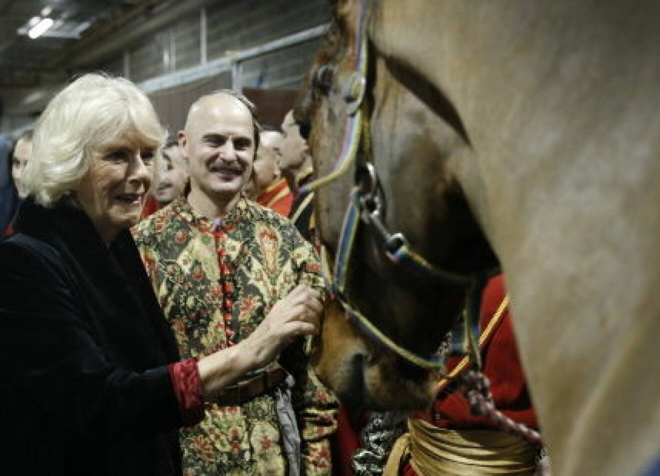 Camilla At Horse of the Year Show
