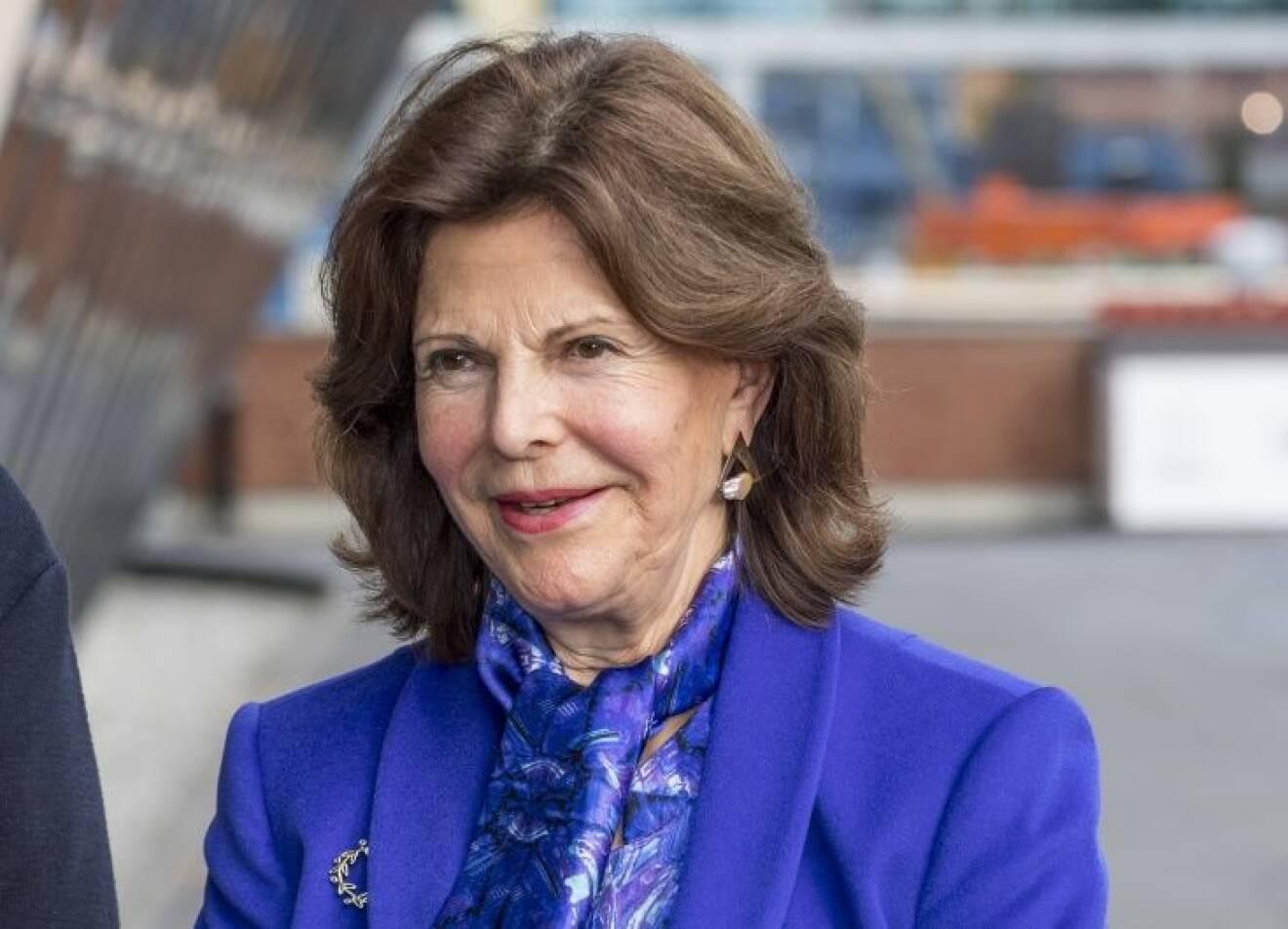 Queen Silvia at Elderly Centres 30th anniversary