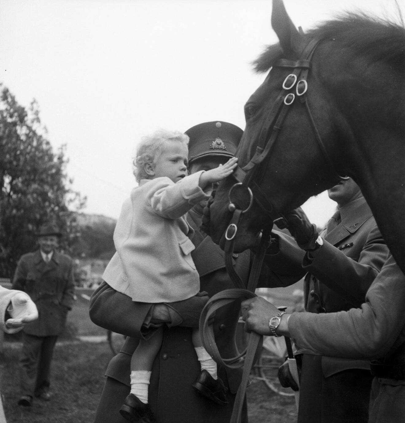 Carl Gustaf klappar hästen 70 år innan hans barnbarn klappar en häst, lika gammal, under sitt uppdrag. 