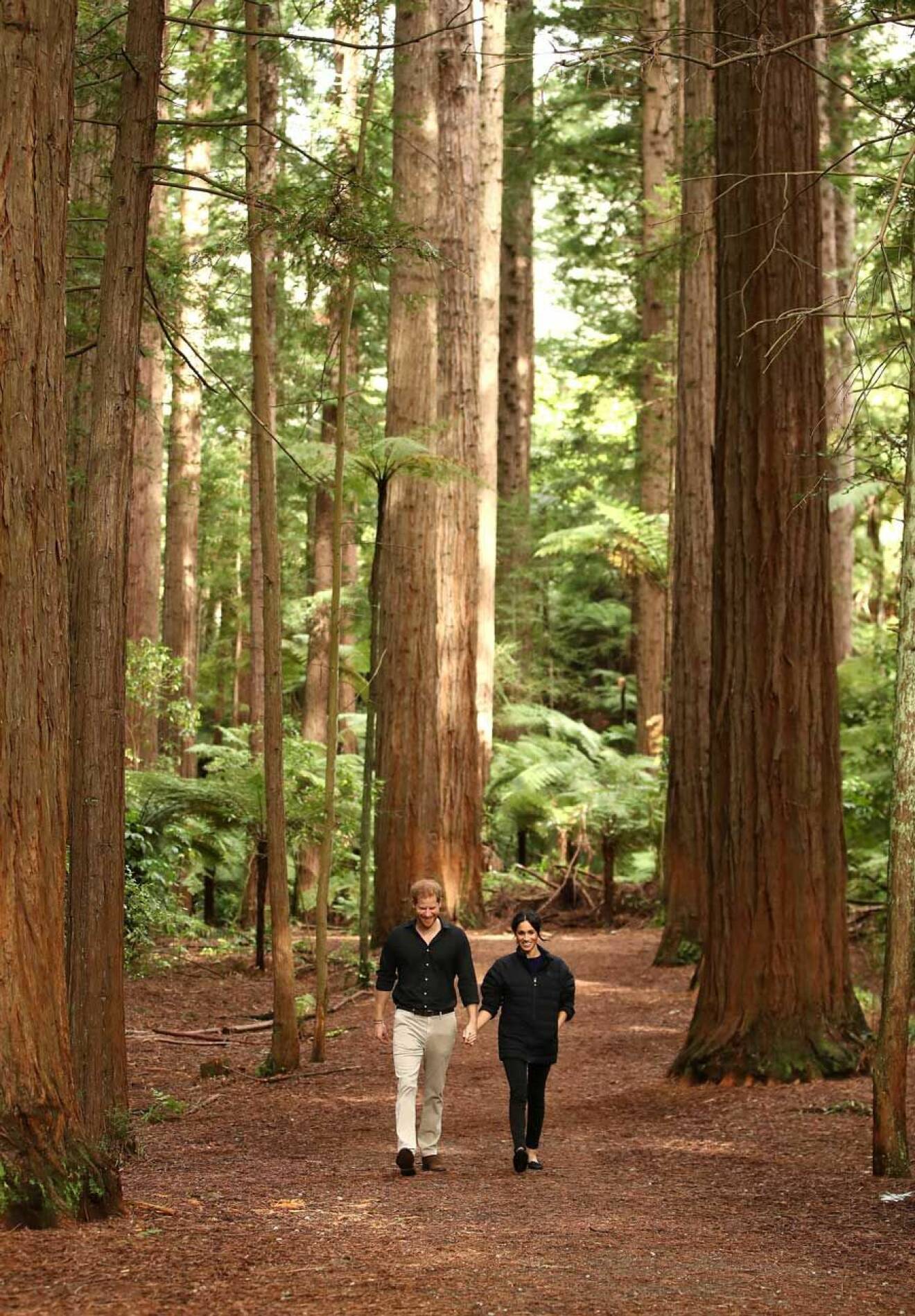 Innan Harry och Meghan åkte hem passade de på att ta en promenad bland de mäktiga sekvojaträden på Nya Zeeland. 