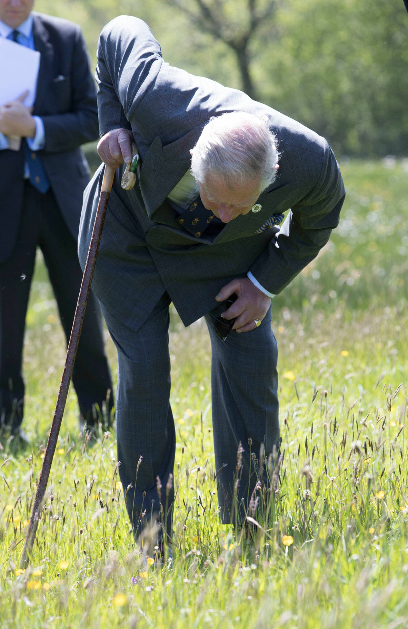 Men, vad är det här? Prins Charles är van skräpplockare och har överfört den rena vanan på sina barn.