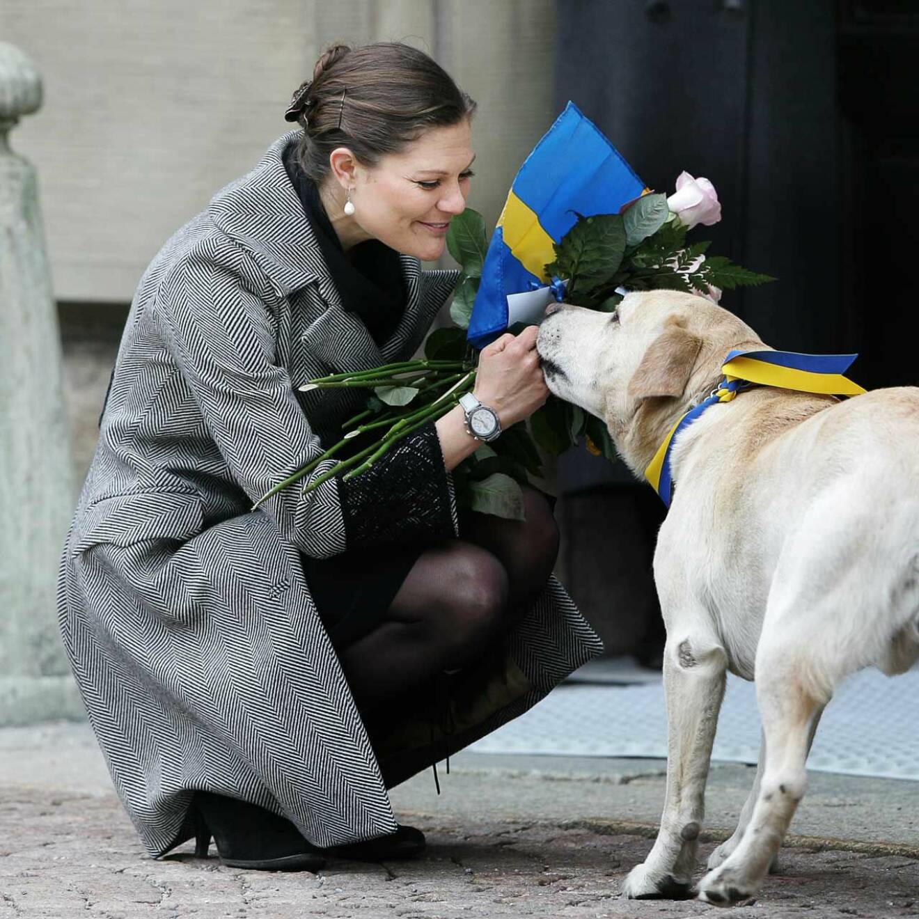 Victorias namnsdag firas på Stockholms slott den 12 mars 2007. Kungafamiljens labrador Jambo var gladaste gratulanten.