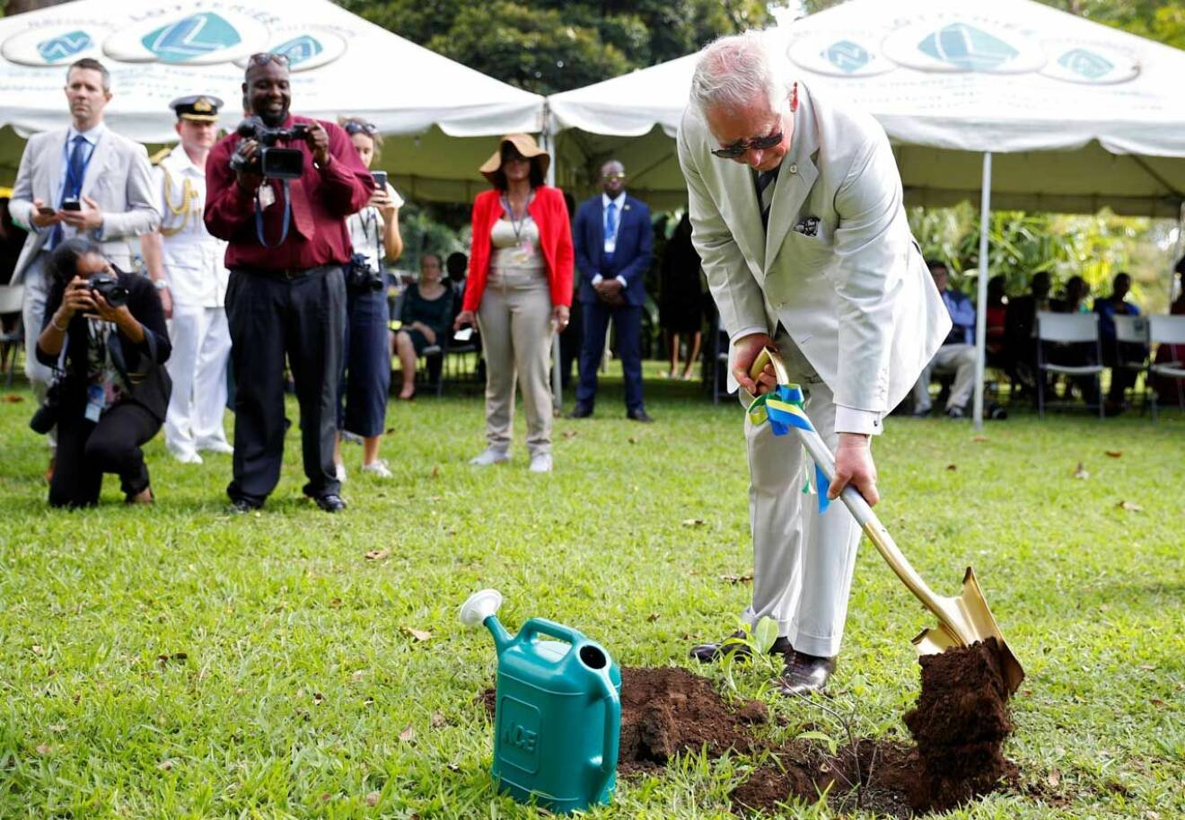  Prins Charles fick planera ett träd på Saint Vincent och Grenadinerna.