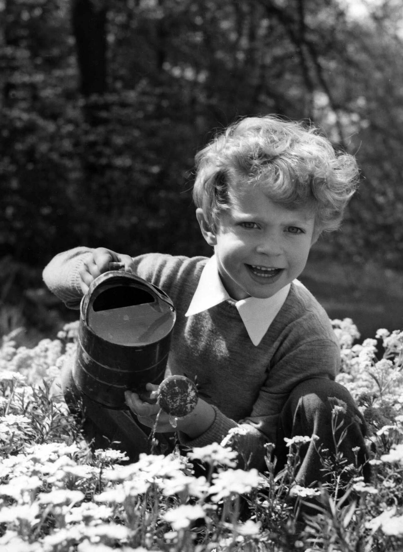 Kronprins Carl Gustaf, sex år.