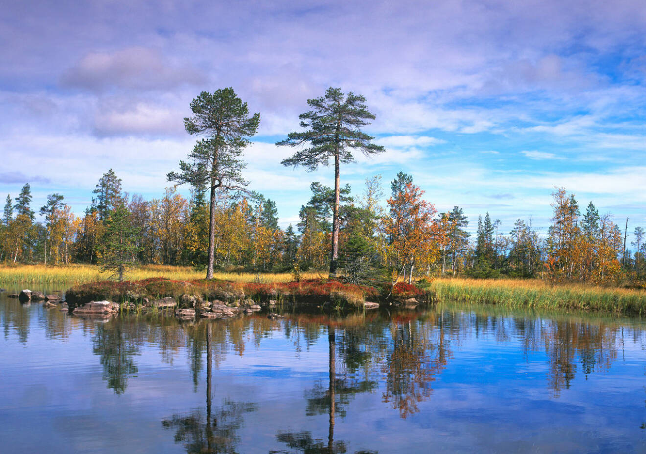 Nationalparken Fulufjället i Dalarna.