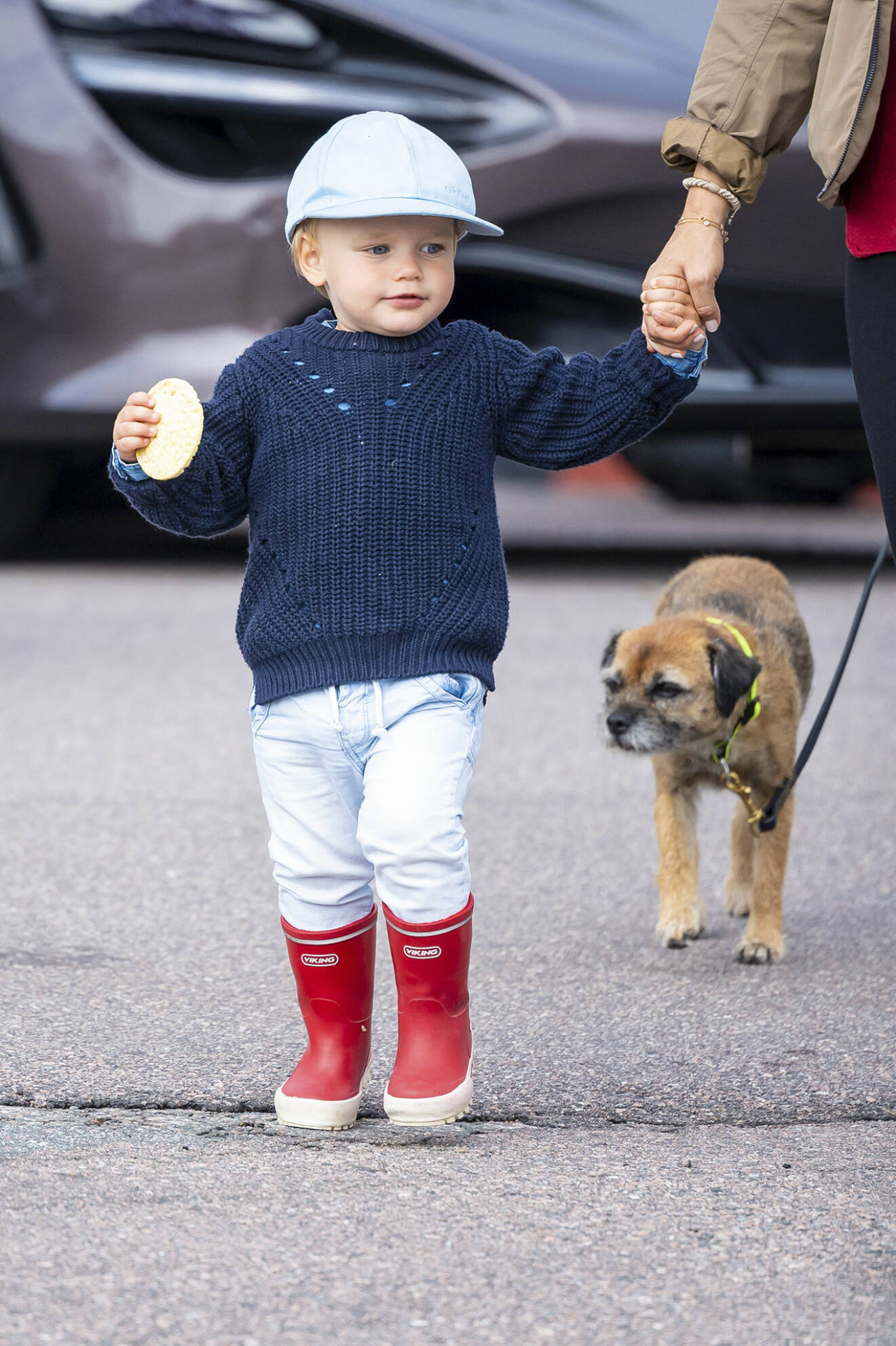Prins Gabriel med familjens hund Siri i bakgrunden.