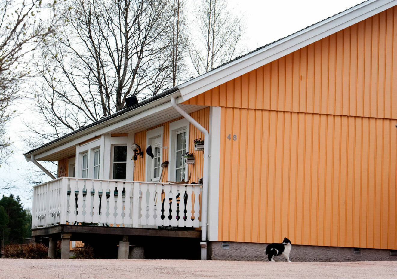 Familjen Hellqvists gula villa i Kåtilla där prinsessan Sofia växte upp.