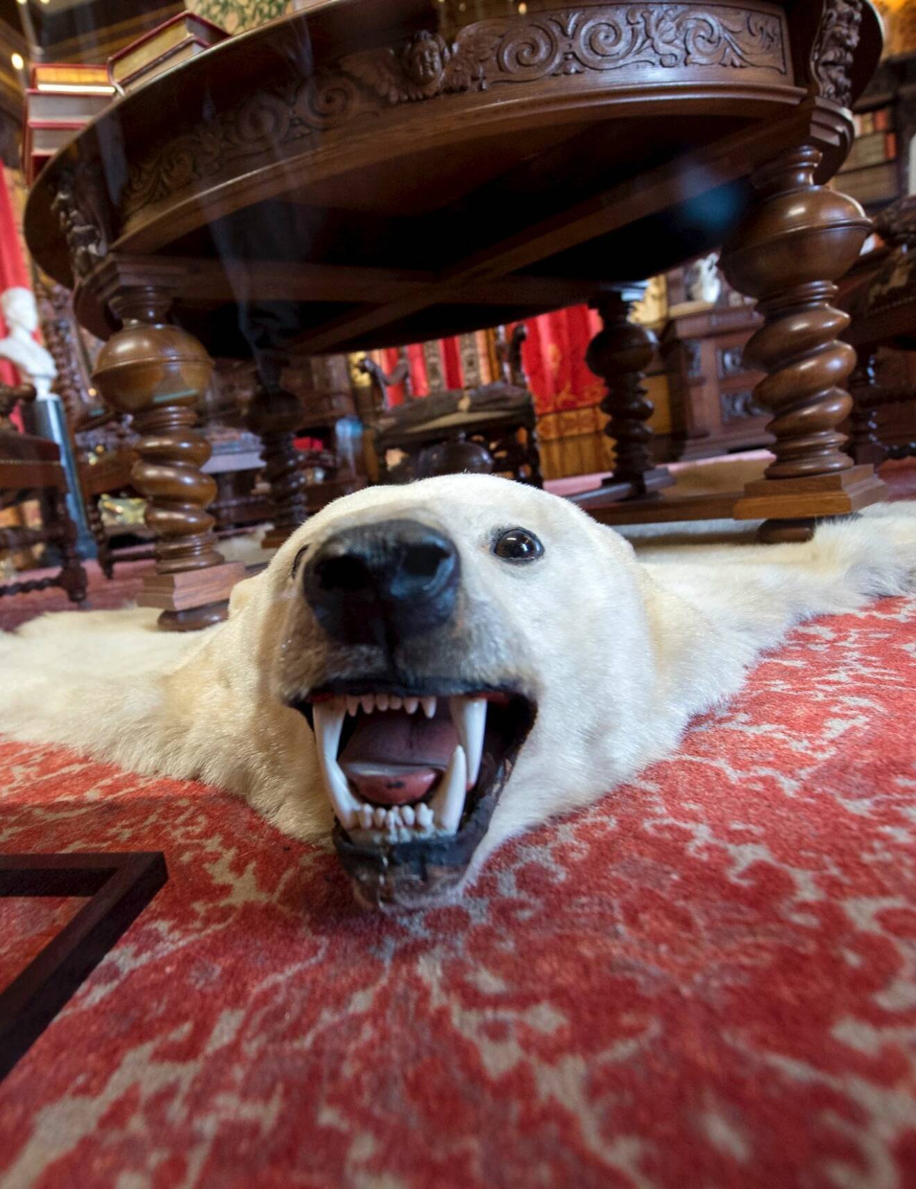 En isbjörnsmatta finns inne på museumet. 