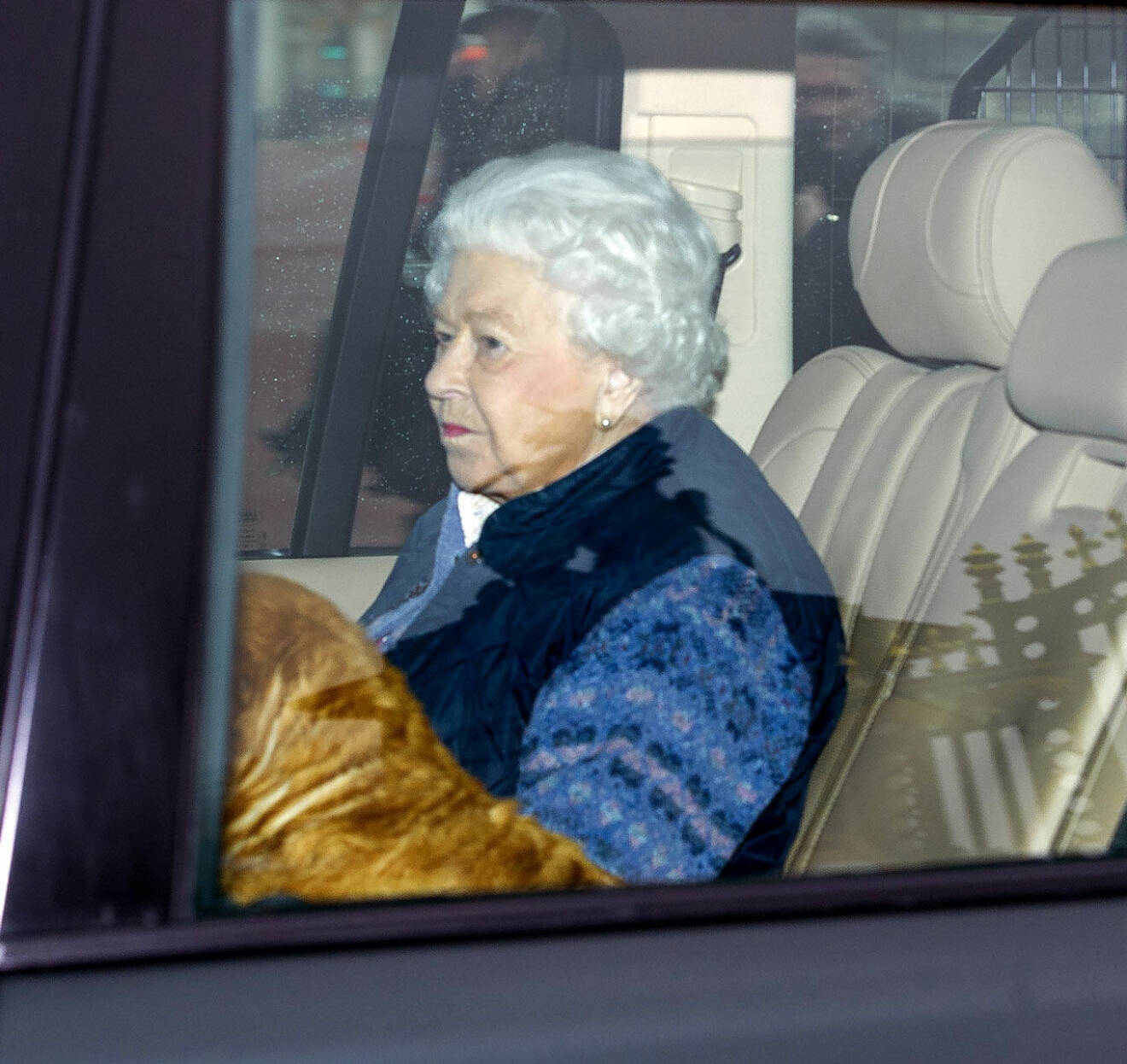 Drottning Elizabeth och hennes hund på väg till isoleringen på Windsor Castle.