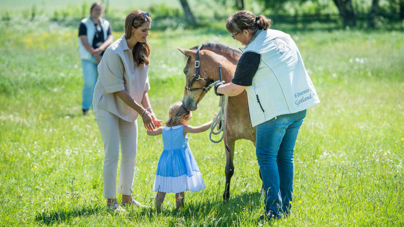 Prinsessan Leonore när hon träffade sin ponny Heidi af Gotland för första gången.
