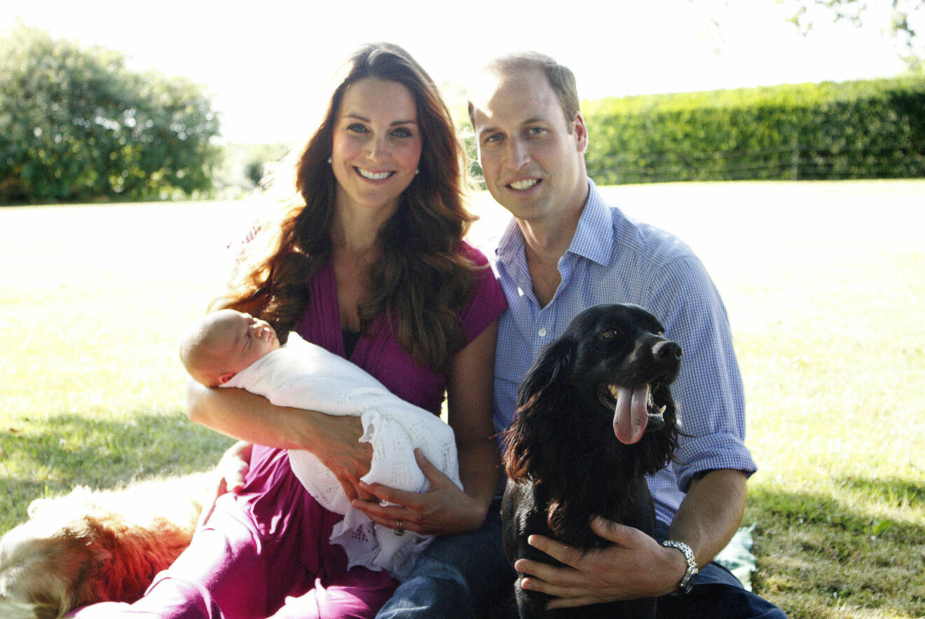 Kate William prins George hunden Lupo engelsk cocker spaniel