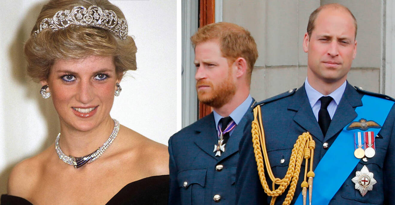 Prins Harry Prins William Prinsessan Diana