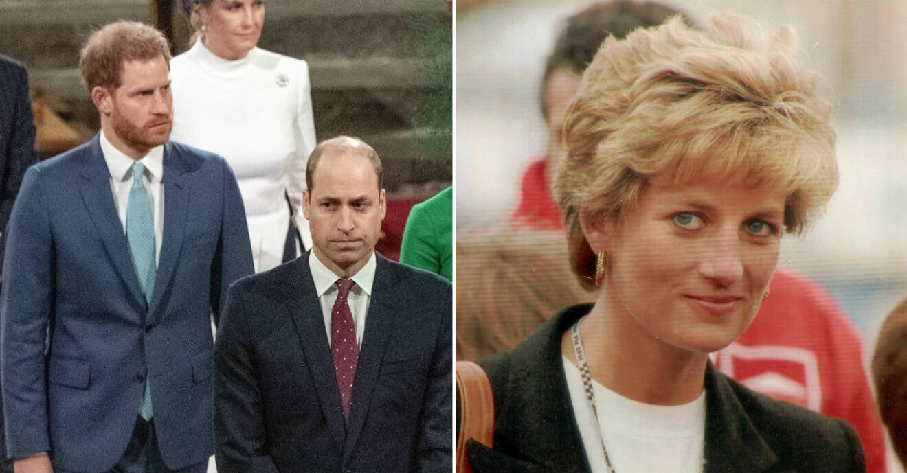 Prins Harry, prins William och prinsessan Diana
