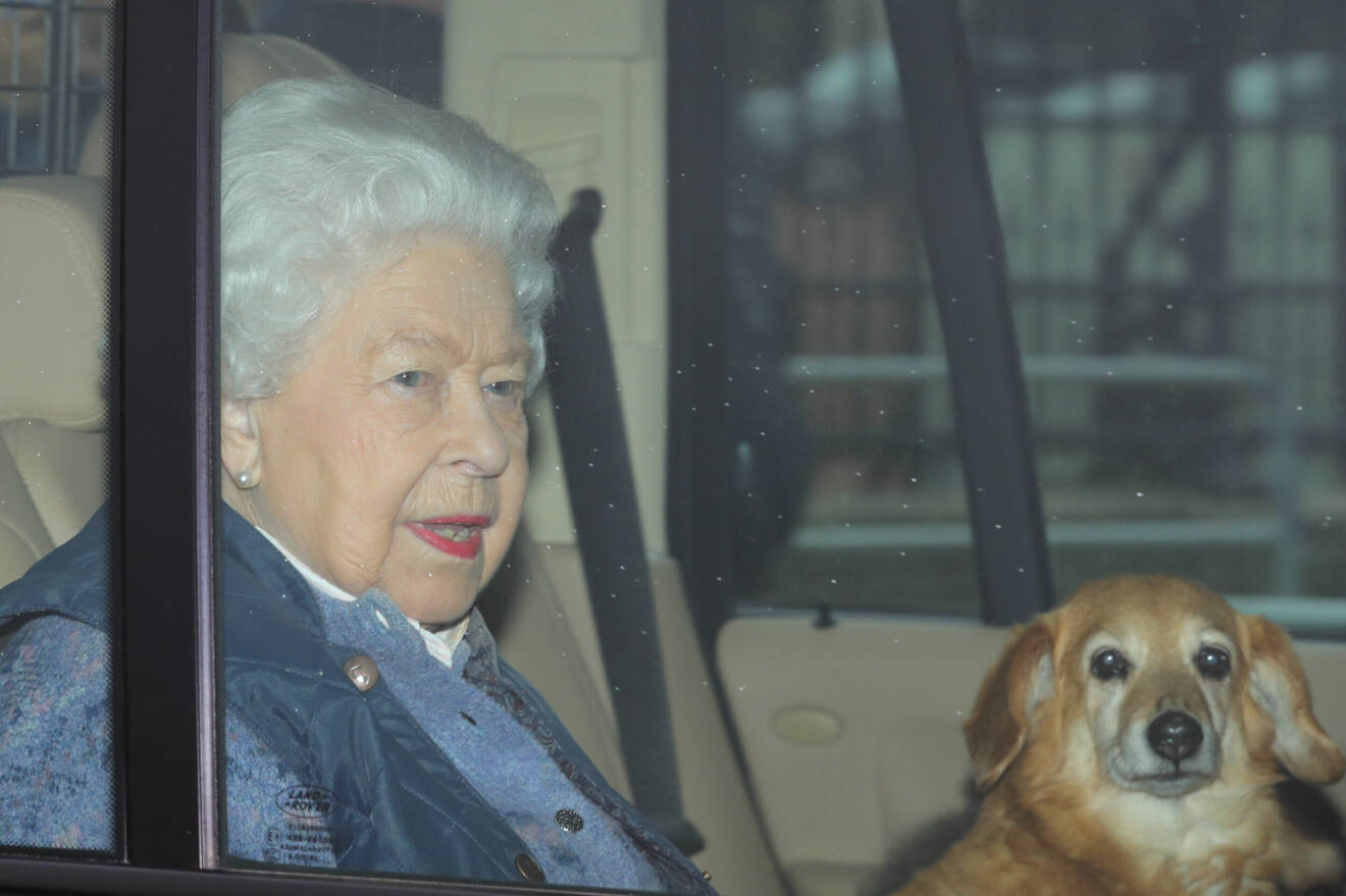 Drottning Elizabeth med sin hund Candy, en dorgi