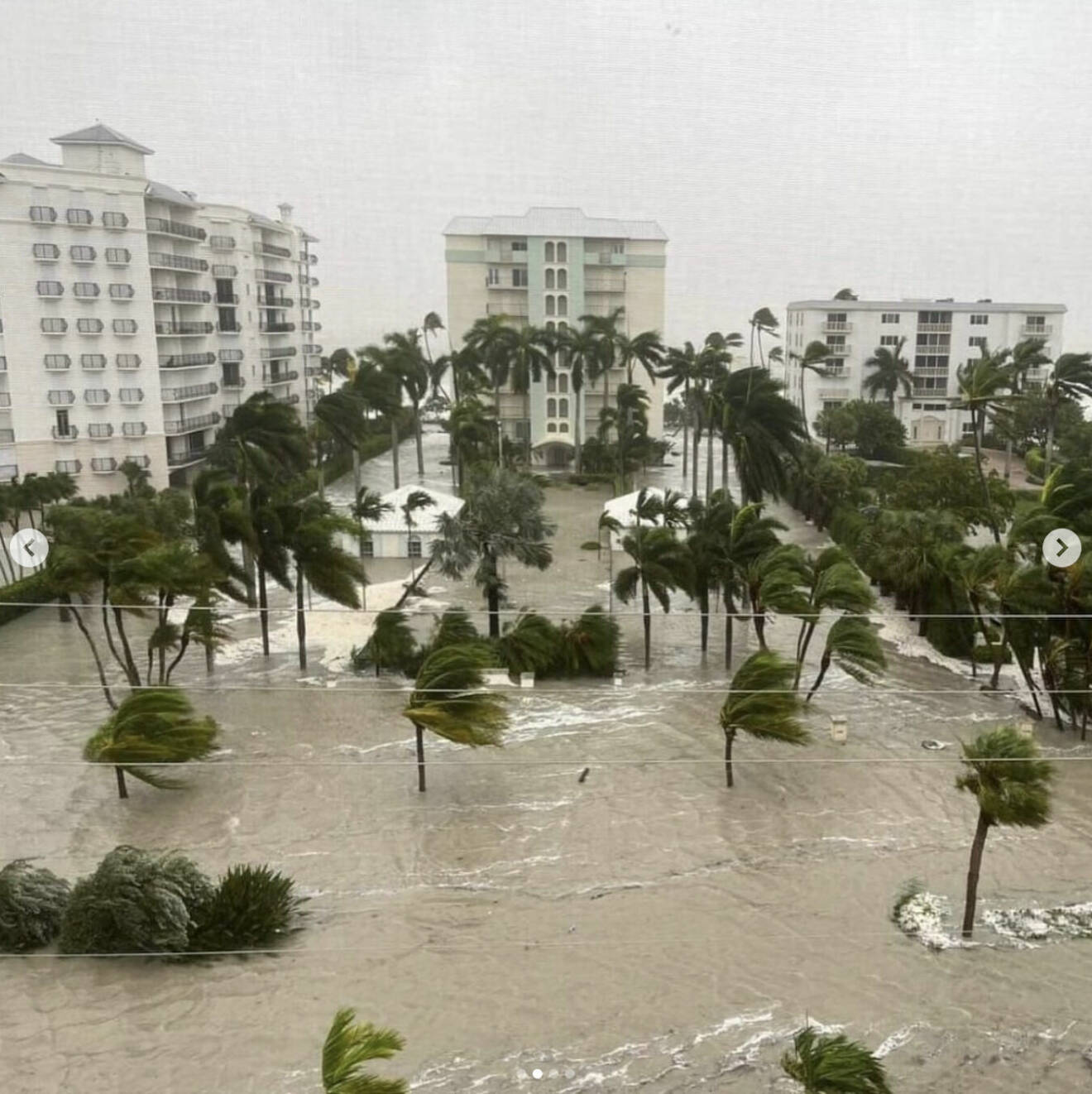 Prinsessan Madeleines bilder från översvämningarna i Florida