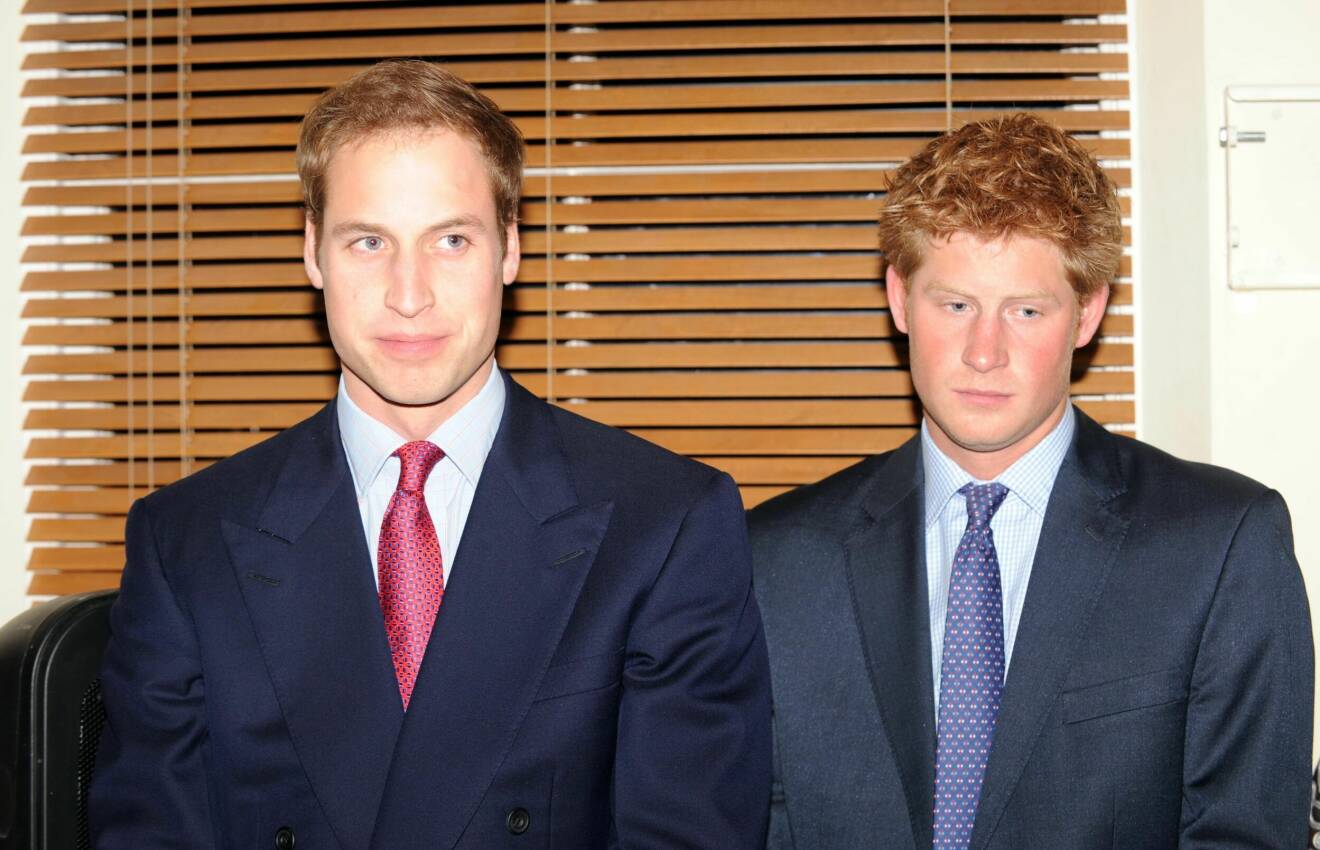 Prins William och prins Harry 2009
