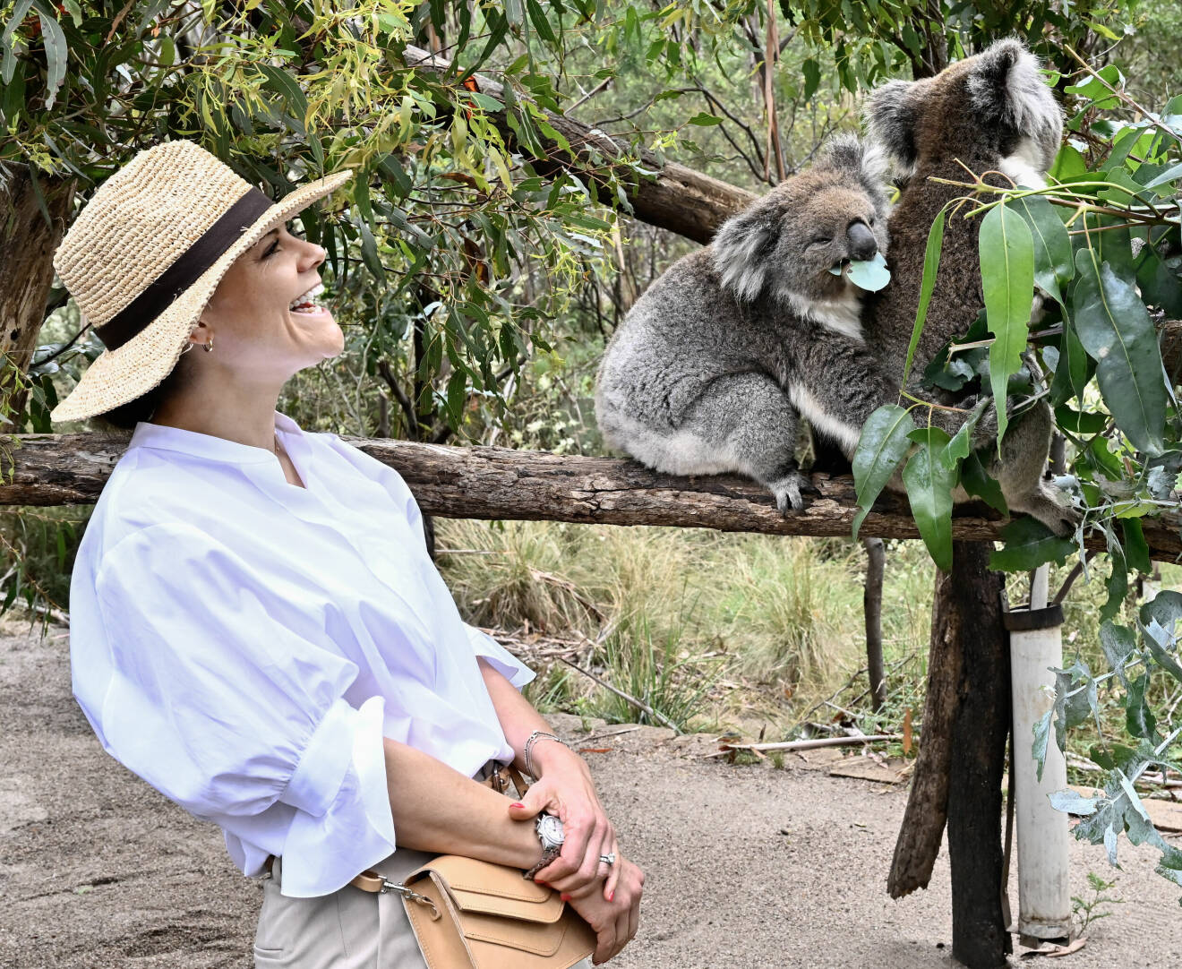 Kronprinsessan Victoria och prins Daniel inledde på måndagen det officiella besöket i Australien där kronprinsessparet besökte ett rehabiliteringscenter för koalor i Namadgi National Park i Canberra.