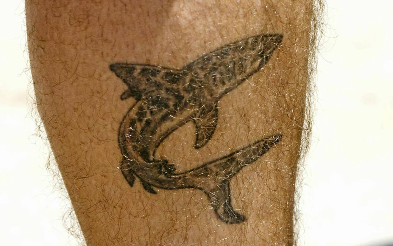 Kronprins Frederiks tatuering på benet: En haj