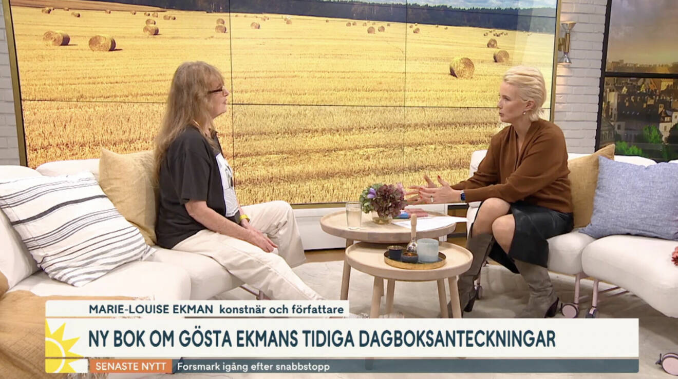 Marie-Louise Ekman och Jenny Strömstedt i Nyhetsmorgon