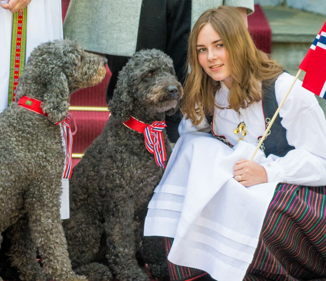 Ingrid Alexandra med familjens labradoodles Milly Kakao och Muffins Kråkebolle. Ingrid Alexandra med familjens labradoodles Milly Kakao och Muffins Kråkebolle.