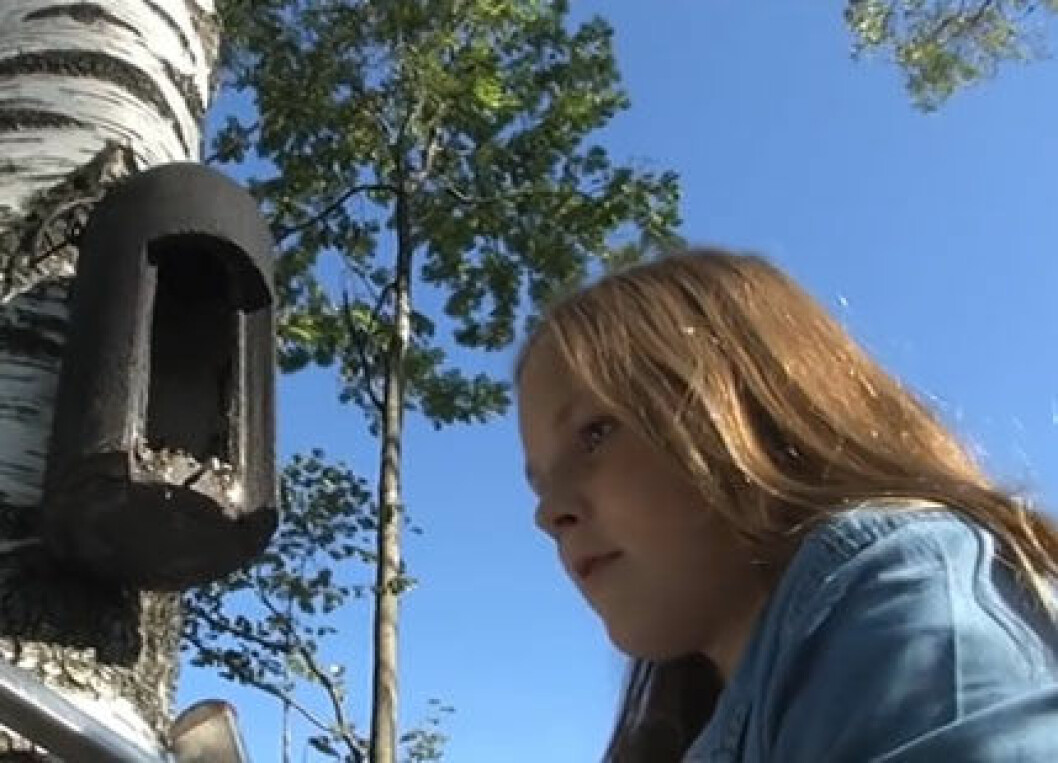 ingrid-alexandra-youtube