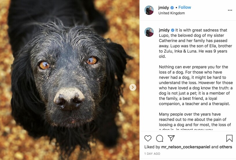 Den privata bilden på Kates hund Lupo. Själv är James Middleton husse till Lupos mamma Ella. James Middleton bild på Kates hund Lupo
