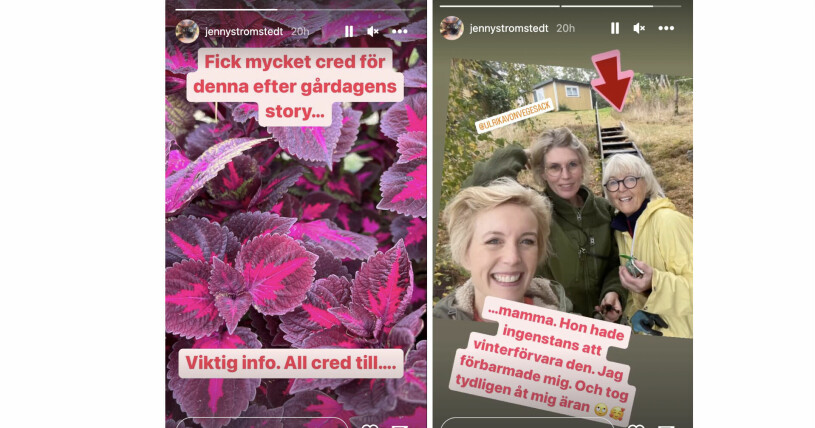 Jenny Strömstedts Instagram