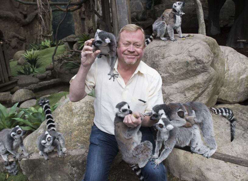 Jonas i sitt rätta element – bland lemurerna på Skansen!