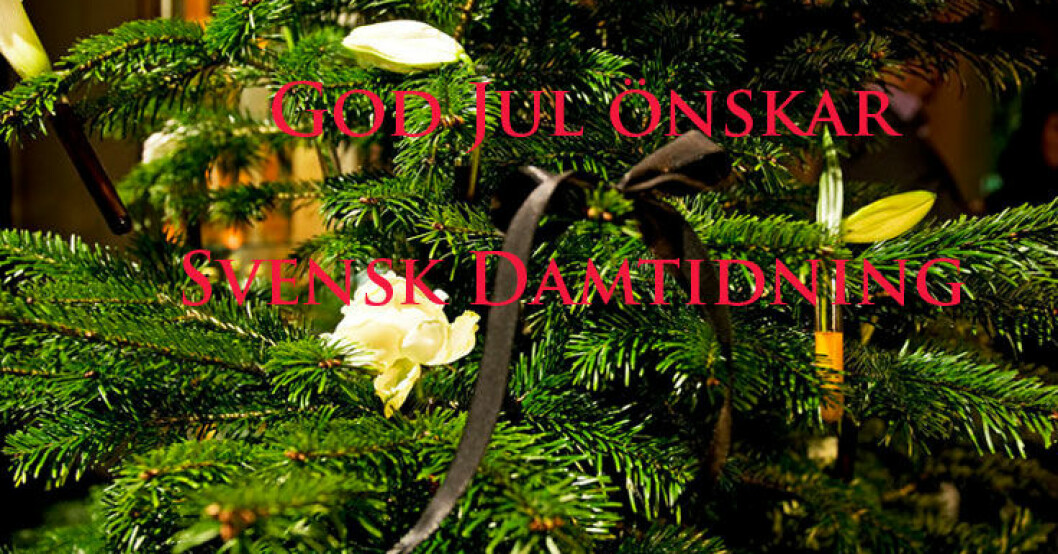 En riktigt god jul önskar vi på Svensk Damtidning