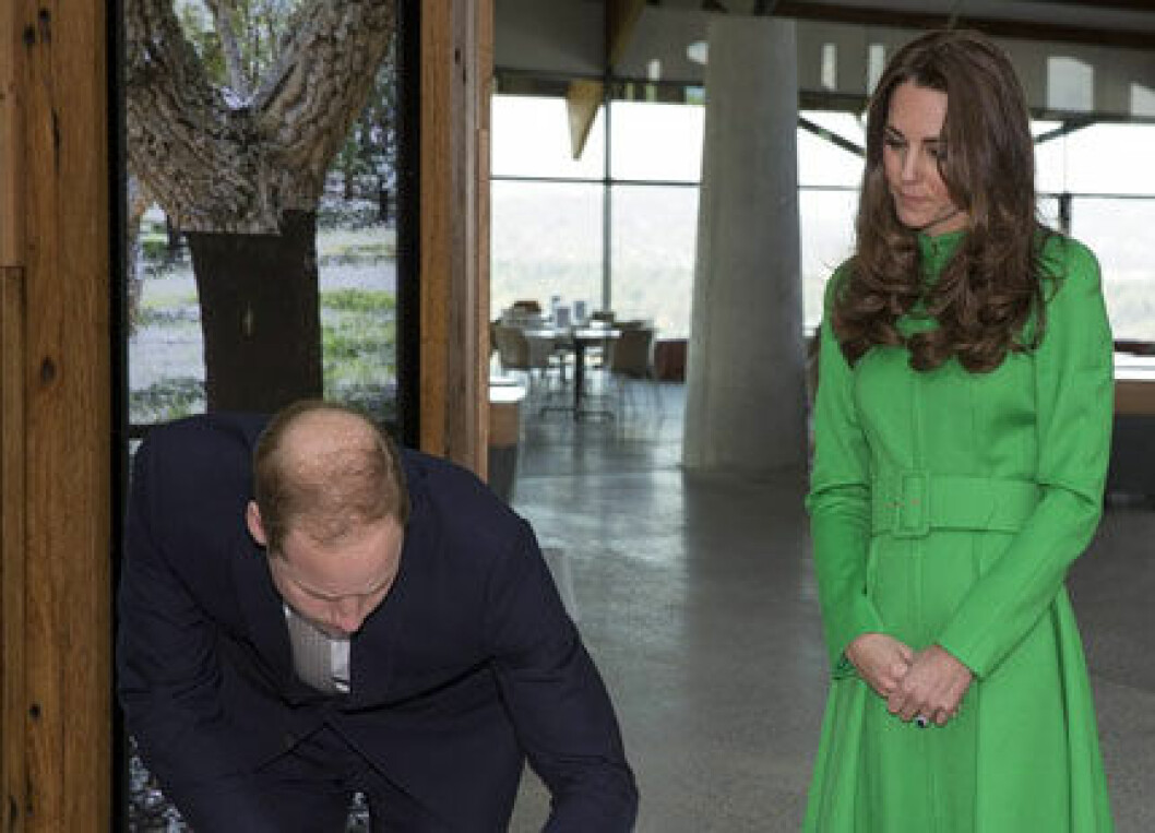 Kate-3