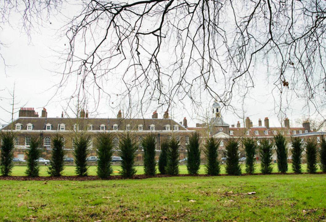 kate-will-kensington-palace-ibl