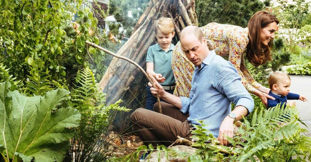 kate william george louis