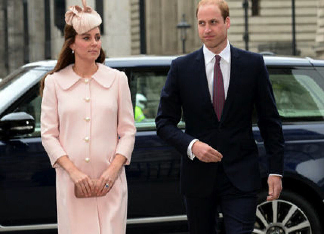 kate-william-ste