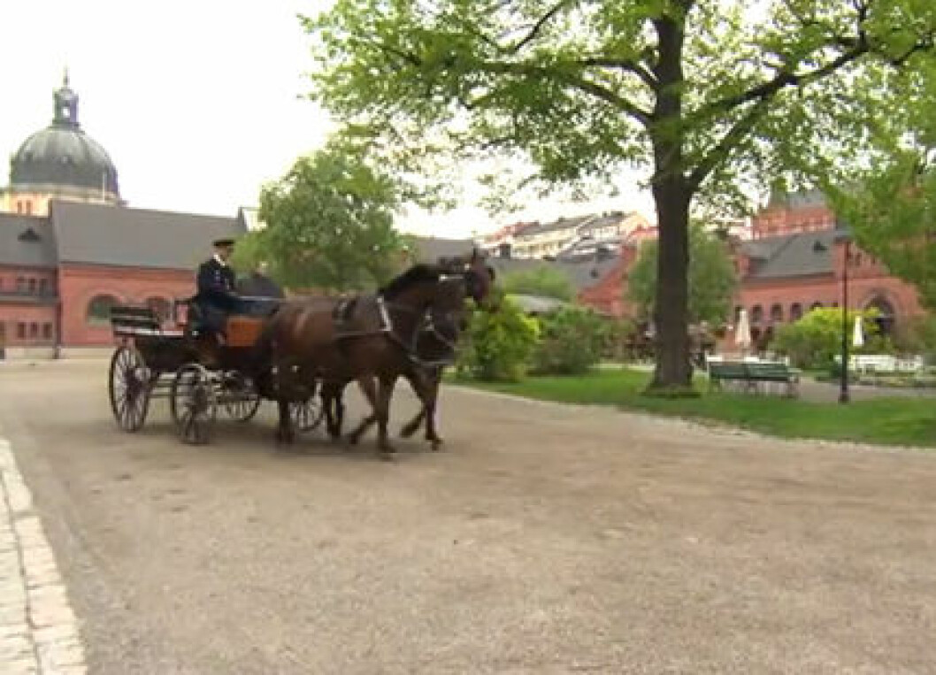 kortege-hovet