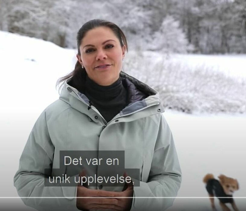 Rio ruschar förbi och bryr sig inte ett dugg om att hans kungliga matte håller sitt viktiga tal! Kronprinsessan Victoria Hunden Rio cavapoo